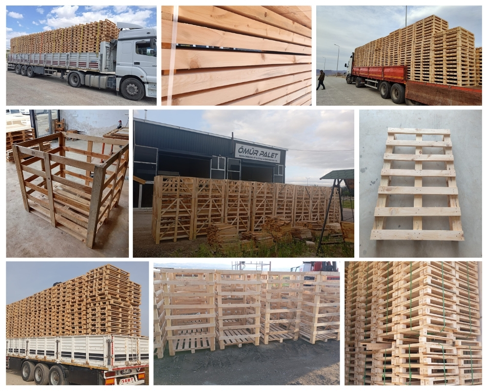 Sixpenny Handley Wooden Pallets, Buy Wooden Pallets Wholesale